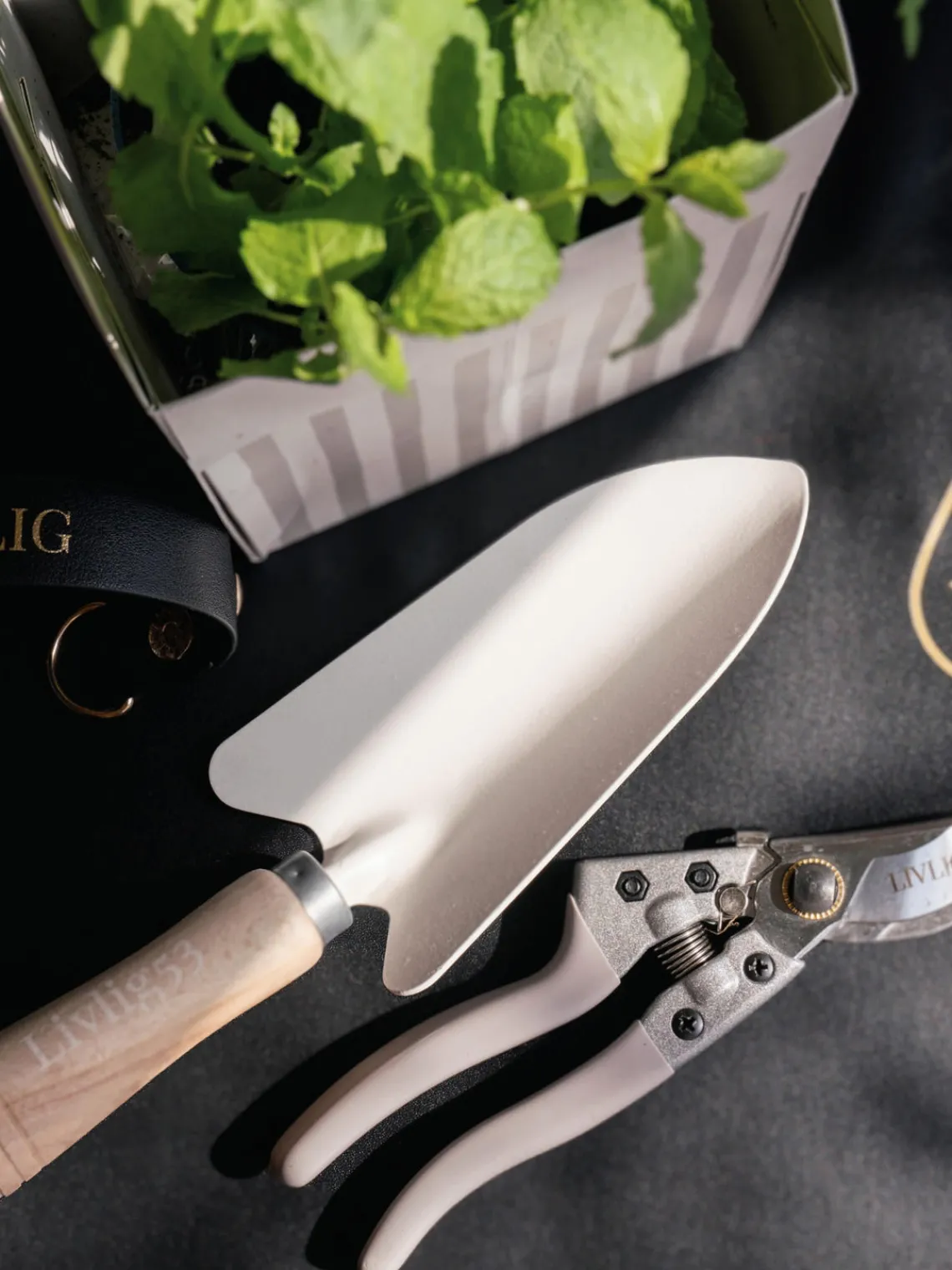 Herramientas De Jardinería|Herramientas De JardineríA>Livlig53 Alfombra de siembra Aziza Negro