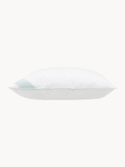 Mantas|Almohadas></noscript>Westwing Collection Almohada de plumas Standard, firmeza media