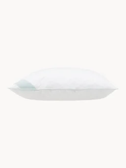 Best Almohada de plumón Premium, normal Almohadas|Mantas