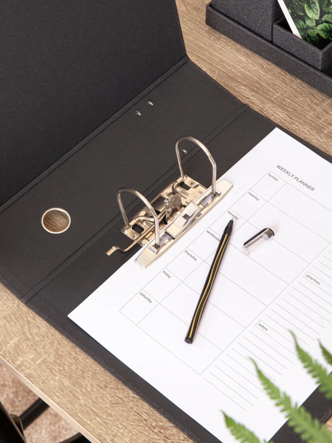 Material De Oficina|Material De Oficina>Bigso Box of Sweden Archivador Archie Gris antracita