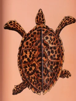 Hot Bandeja decorativa pintada a mano con motivo de tortuga Fauna Jarrones|Bandejas Decorativas