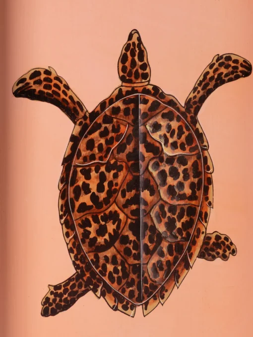 Hot Bandeja decorativa pintada a mano con motivo de tortuga Fauna Jarrones|Bandejas Decorativas