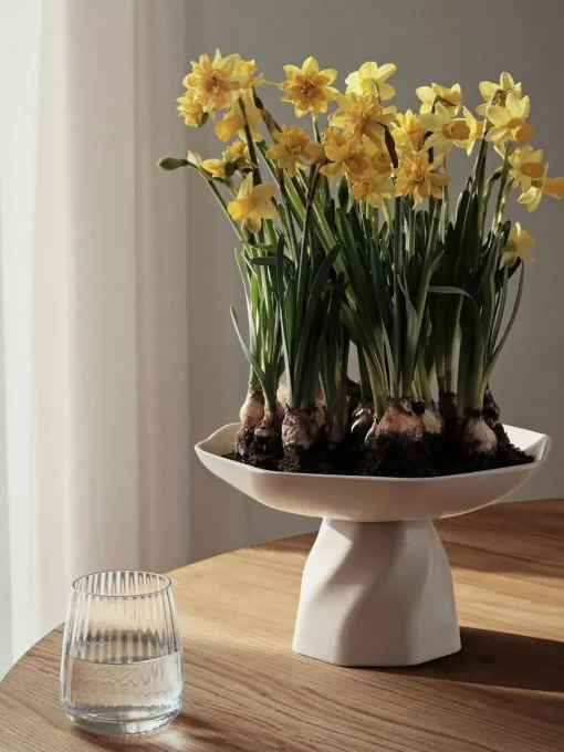 Bol decorativo artesanal Limfjord Cuencos Decorativos|Jarrones
