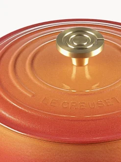 Sale Cazuela redonda de hierro fundido Flamme Dorée, tamaños diferentes Ollas|Ollas