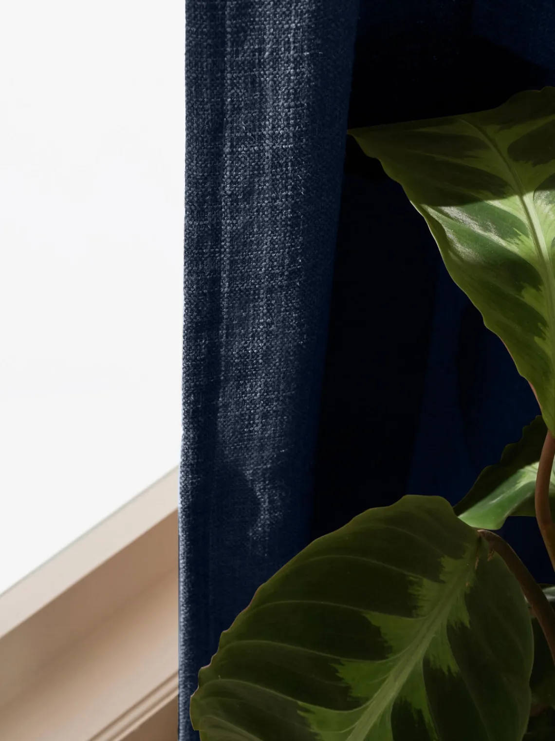 Online Cortinas semiopacas con multibanda Jensen, 2 uds. Cortinas Y Visillos|Mantas