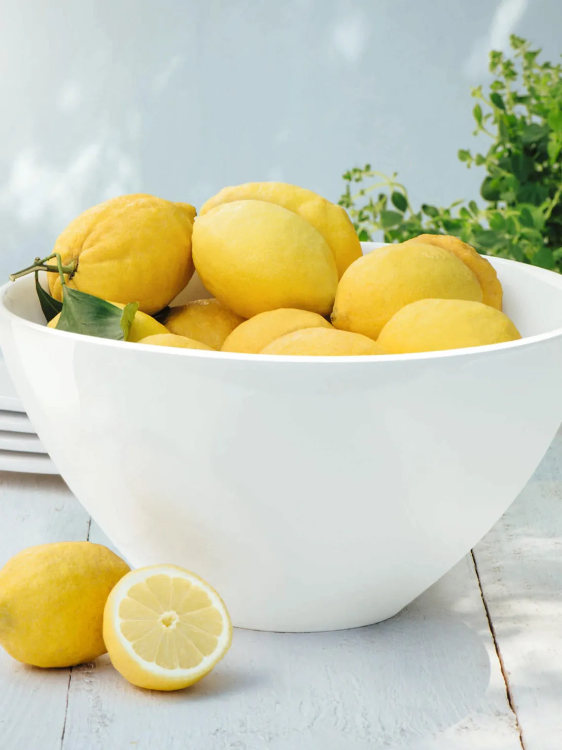 Cuencos Y Platos De Servir|Vajillas Completas>ASA Selection Ensaladera Grande