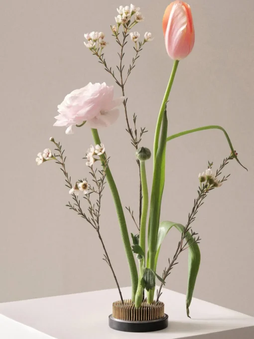 Maceteros|Jarrones>Jotex Erizo floral para jarrón Fiore, Ø 8 cm