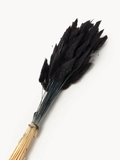Jarrones|Flores Artificiales>Cooee Design Flores secas Lagurus Gris antracita, verde oliva
