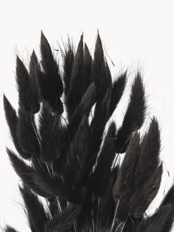 Jarrones|Flores Artificiales></noscript>Cooee Design Flores secas Lagurus Gris antracita, verde oliva
