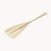 Online Flores secas Pampas Flores Artificiales|Jarrones