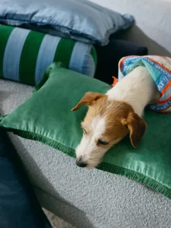 Cojines Decorativos|Mantas><noscript><img width=