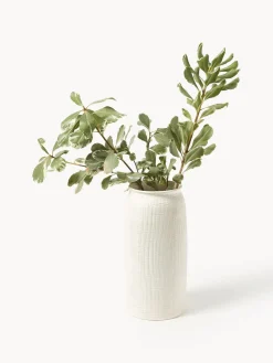 Jarrones|Jarrones><noscript><img width=