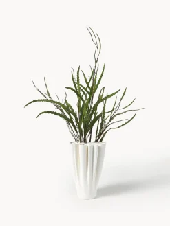 Jarrones|Jarrones><noscript><img width=