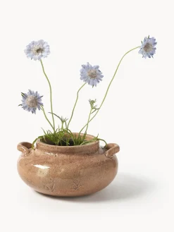 Jarrones|Jarrones><noscript><img width=