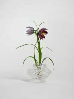 Jarrones|Jarrones></noscript>Hein Studio Jarrón de vidrio soplado Canyon, 8 cm Transparente