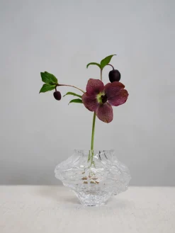 Jarrones|Jarrones></noscript>Hein Studio Jarrón de vidrio soplado Canyon, 8 cm Transparente