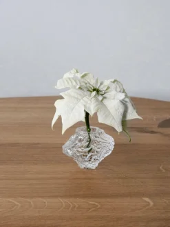 Jarrones|Jarrones></noscript>Hein Studio Jarrón de vidrio soplado Canyon, 8 cm Transparente