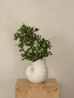 Jarrones|Jarrones></noscript>Ferm Living Jarrón en forma de concha Shell, 27 cm