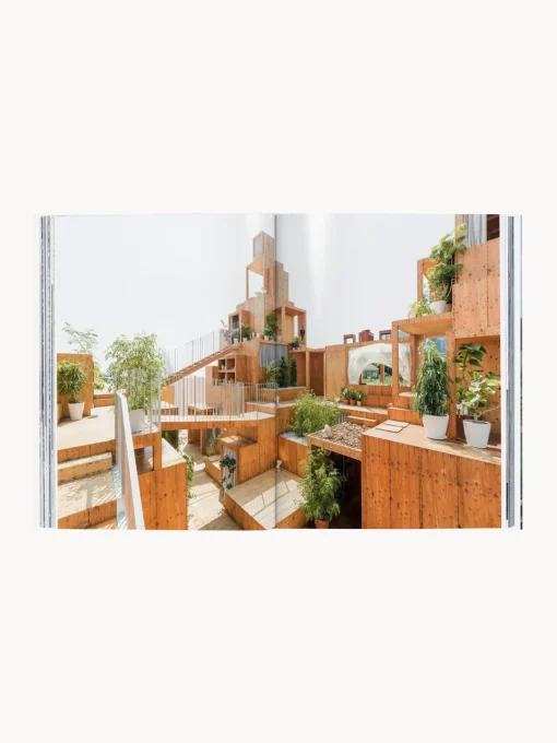 Online Libro ilustrado Contemporary Houses Libros Decorativos|Jarrones