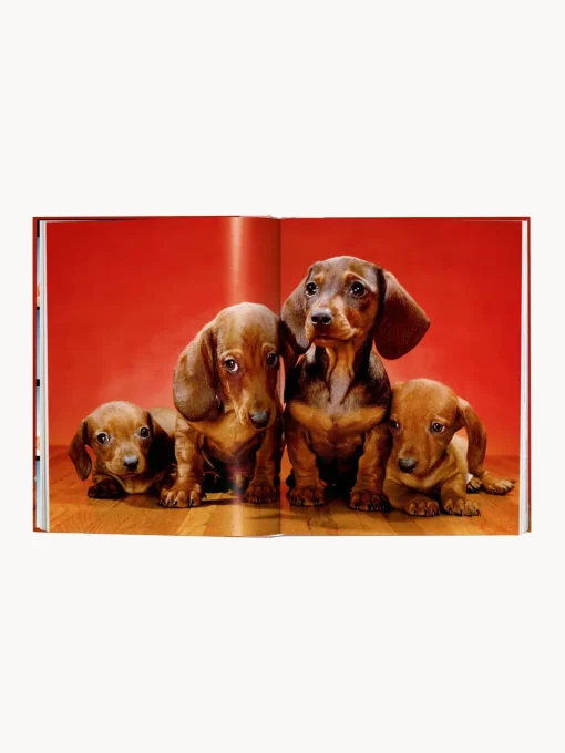 Libros Decorativos|Jarrones>TASCHEN Libro ilustrado Dogs. Photographs 1941–1991
