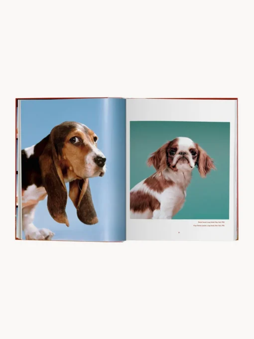 Libros Decorativos|Jarrones>TASCHEN Libro ilustrado Dogs. Photographs 1941–1991
