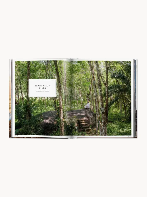 Hot Libro ilustrado Great Escapes Libros Decorativos|Jarrones