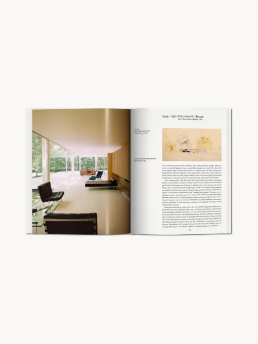 Outlet Libro ilustrado. Mies Van Der Rohe Libros Decorativos|Jarrones