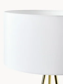 Lámparas De Pie|Lámparas De Techo><noscript><img width=