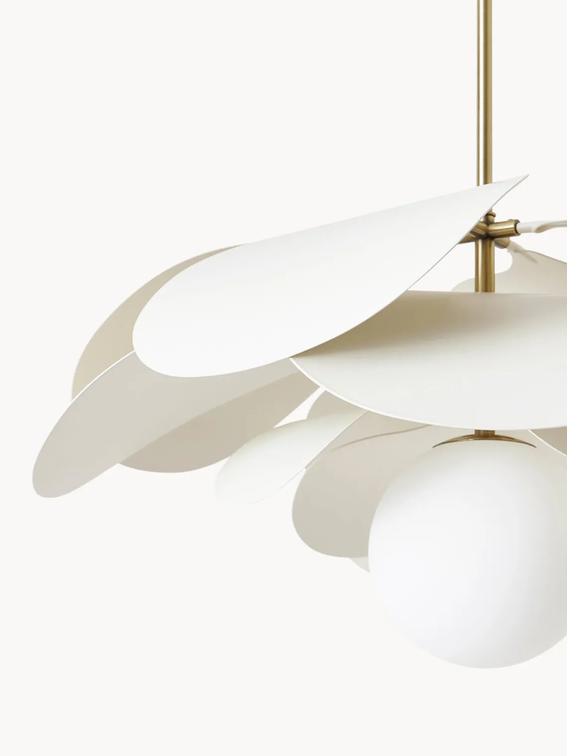 Lámparas De Techo|Lámparas De Techo>Westwing Collection Lámpara de techo de diseño Peony