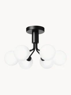 Plafones|Lámparas De Techo></noscript>Nuura Lámpara de techo de vidrio Apiales Negro, blanco crema