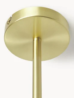 Plafones|Lámparas De Techo><noscript><img width=