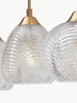 New Lámpara de techo grande de vidrio satinado Vario Lámparas De Techo|Lámparas De Techo