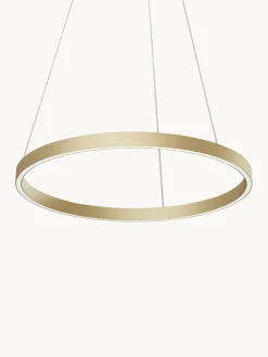 Lámparas De Techo|Lámparas De Techo>Maytoni Lámpara de techo grande LED Rim