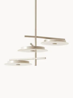 Lámparas De Techo|Lámparas De Techo>Westwing Collection Lámpara de techo LED Maxine