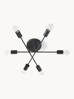 Plafones|Lámparas De Techo><noscript><img width=