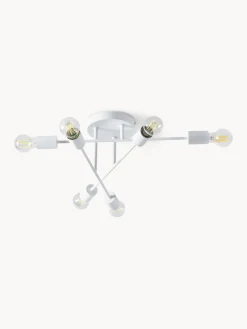 Plafones|Lámparas De Techo><noscript><img width=