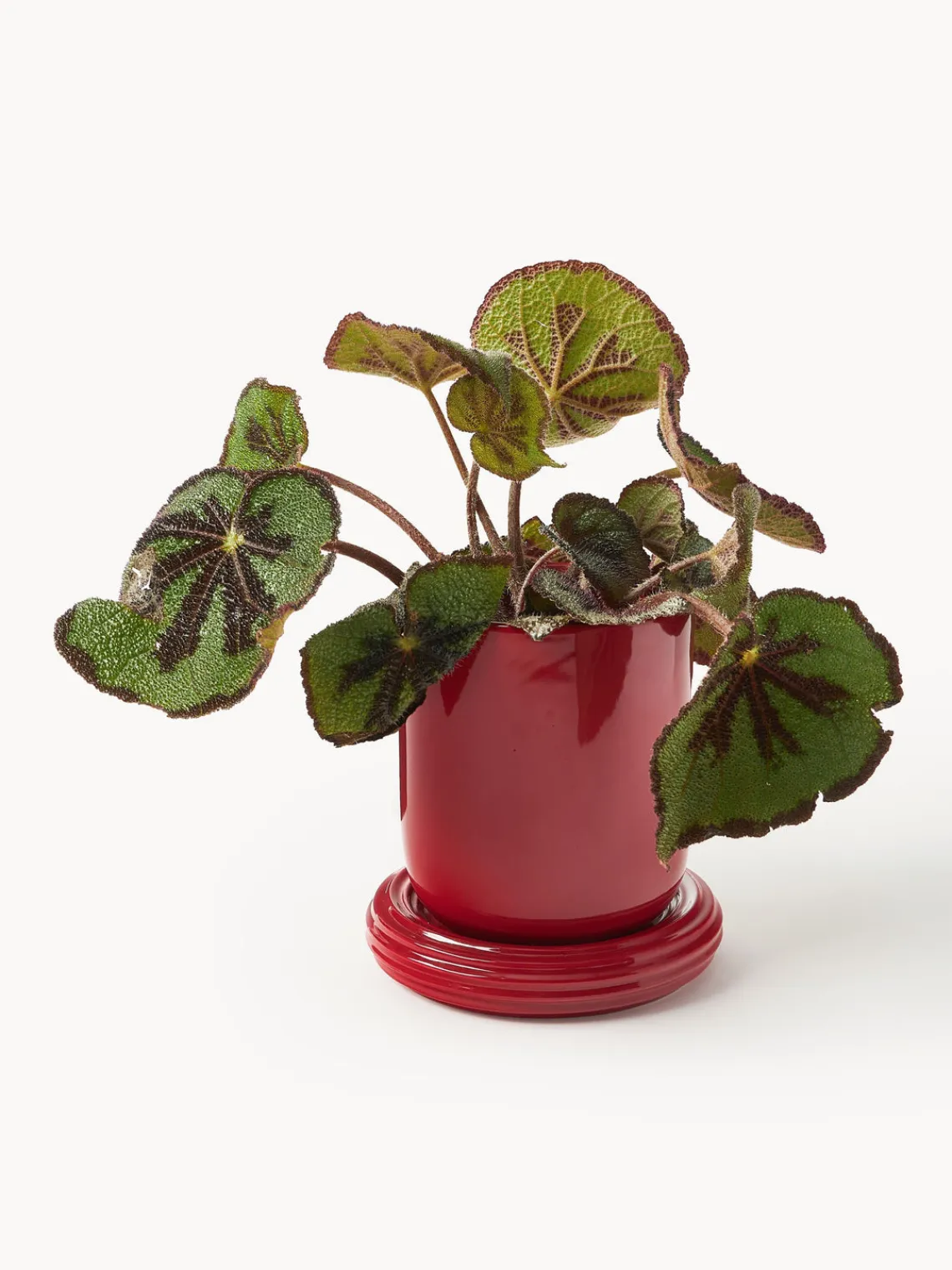 Maceteros|Jarrones>&k Amsterdam Maceta Churros