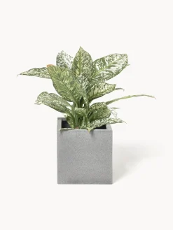 Maceteros|Maceteros De Exterior><noscript><img width=