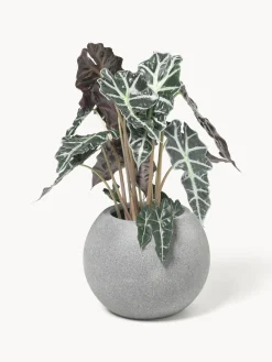 Maceteros|Maceteros De Exterior><noscript><img width=