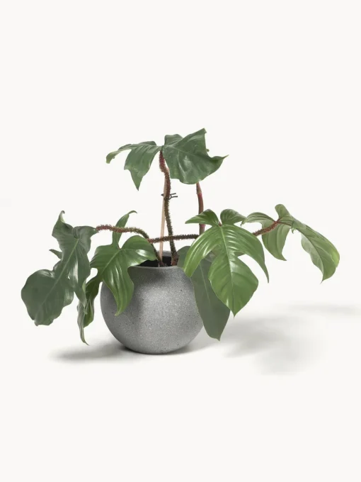 Outlet Macetero de hormigón Tuscany, 25 cm Maceteros|Jarrones
