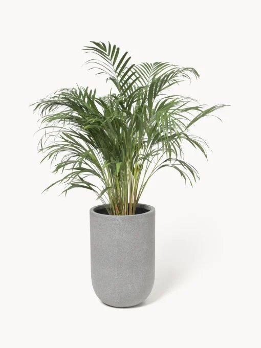 Maceteros|Jarrones>Westwing Collection Macetero de hormigón Tuscany, 40 cm Gris
