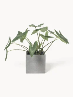 Maceteros|Jarrones><noscript><img width=