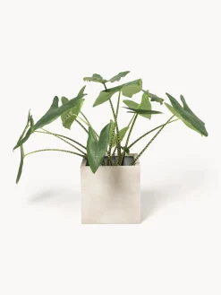 Discount Macetero de hormigón Tuscany, 40 cm Maceteros|Jarrones