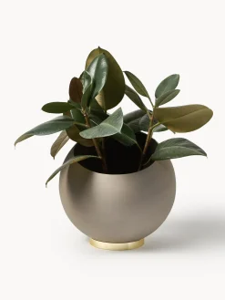 Clearance Macetero de metal Globe Maceteros|Jarrones