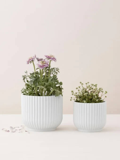 Maceteros|Jarrones>Lyngby Porcelaen Macetero de porcelana Lyngby, 11 cm