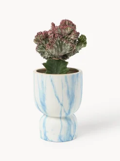 Clearance Macetero en look mármol Kiko, 20 cm Maceteros|Jarrones