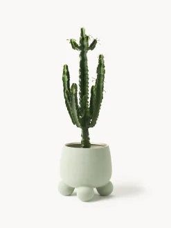 Maceteros|Jarrones></noscript>Westwing Collection Macetero grande de dolomita Olea, 32 cm Verde salvia mate