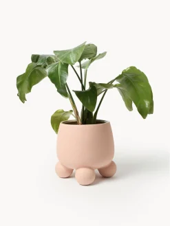 New Macetero grande Olea, 32 cm Maceteros|Jarrones