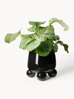 New Macetero grande Olea, Al 32 cm Maceteros|Jarrones