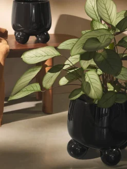 New Macetero grande Olea, Al 32 cm Maceteros|Jarrones